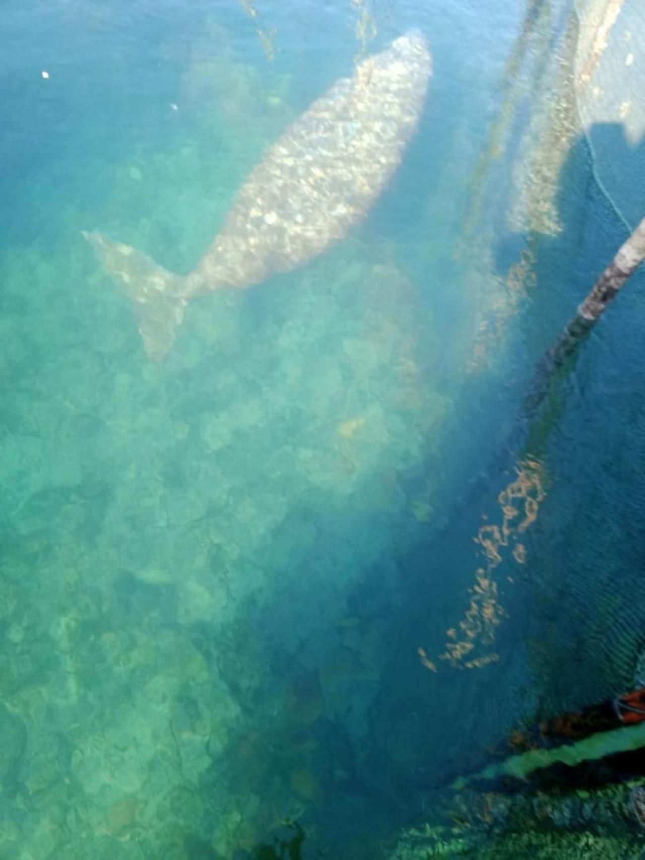 Pondok Wisata Noah Likupang Zewnętrze zdjęcie